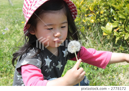 在散步的同時。 2778172