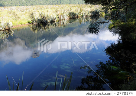 New Zealand Mirror Lake 2778174