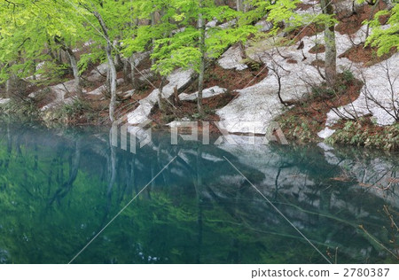 打開Kamike的根 2780387