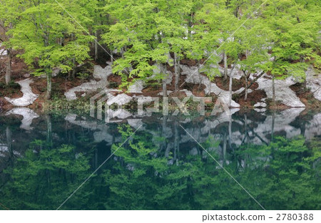 打開Kamike的根 2780388