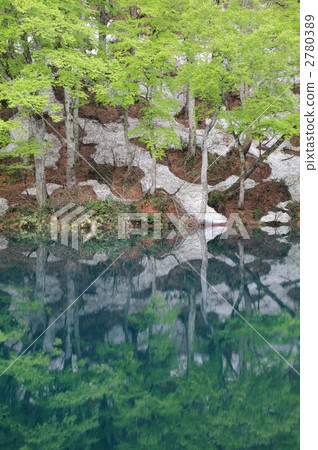 打開Kamike的根 2780389