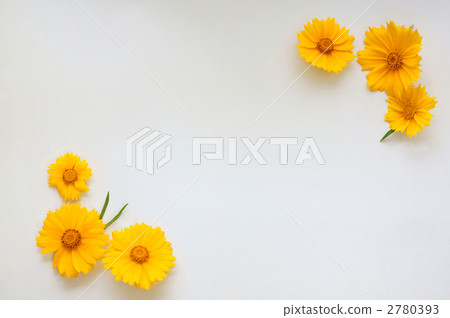 框架_Kinkeigiku 2780393