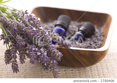 English Lavender Aromatico English Lavender Aromatico 2780406