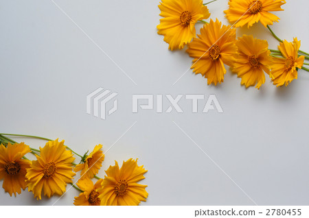 框架_Kinkeigiku 框架_Kinkeigiku 2780455