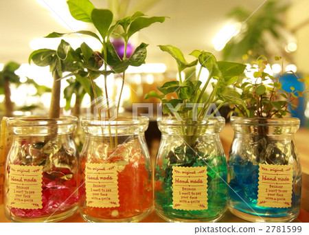 Hydro culture jelly 2781599
