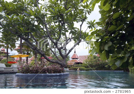 Resort pool / poolside 2781965