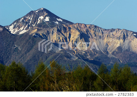 春天來了萬代山 2782383