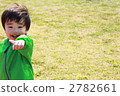 Discovery 2782661