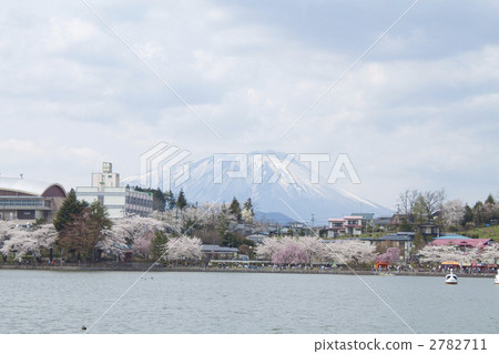 高松池塘 湖泊 湖 2782711