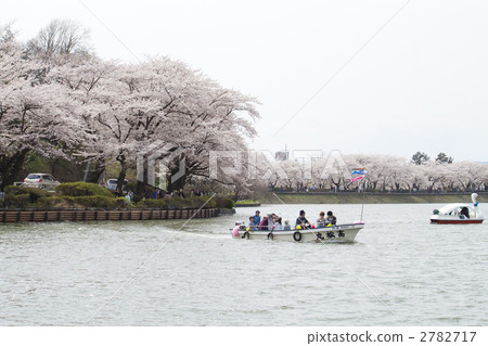 池塘 鹹水湖 高松池塘 2782717