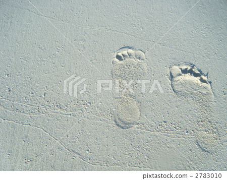 Footprints 2783010