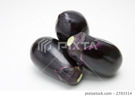 水茄子 2783314