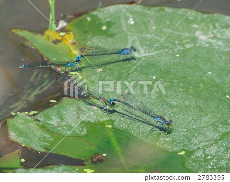 Ao montitonbo Ao montitonbo 2783395