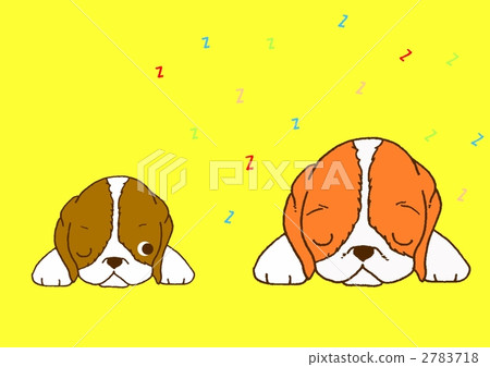 睡狗（比格犬） 2783718