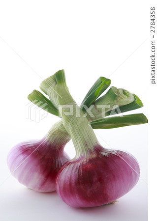 Two fresh red onions Two fresh red onions 2784358