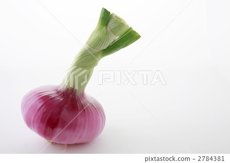 新鮮的紅洋蔥 2784381