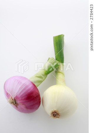 看著紅洋蔥和白洋蔥被忽視了 2784423