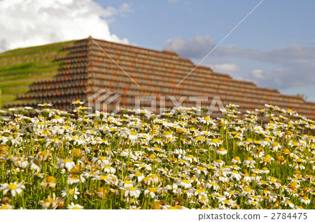 Towers and North Pole Towers and North Pole 2784475