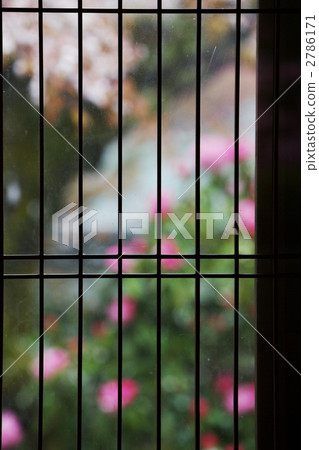 一個窗口 一個窗口 2786171
