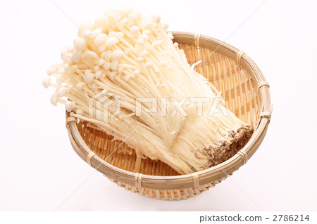 金針菇 2786214