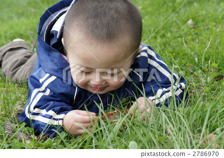 baby, infant, human 2786970