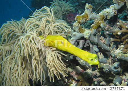 Herayagara Herayagara 2787871