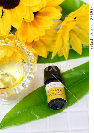 精油 漂亮 美女 2789125