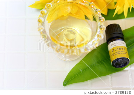 芳香療法 綠葉 中美木棉屬 2789128