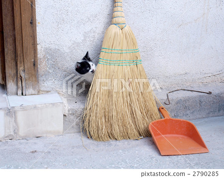 Hide and seek a cat 2790285