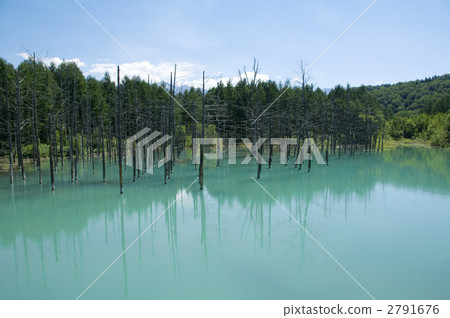 Biei Aoike Shirogane Aoike 2791676