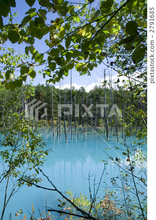 Biei Aoike Shirogane Aoike 2791685