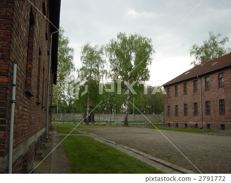 奧斯威辛 2791772