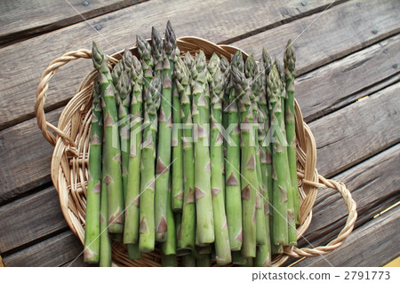 產地直送的北海道綠蘆筍，香甜可口 2791773