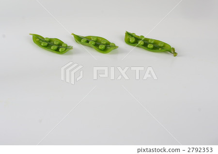 豌豆_豌豆 2792353