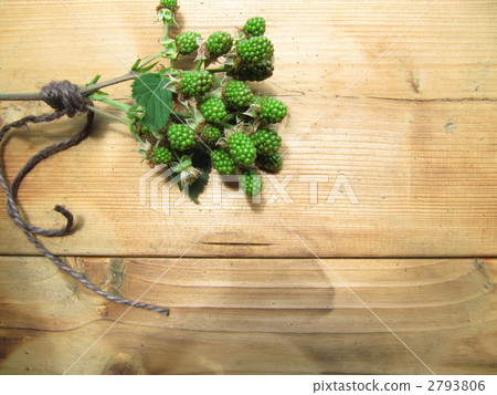 綠色水果 綠色水果 2793806