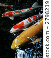 Carp of Ise Shrine 2798219