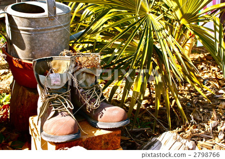 園藝美國西部 園藝美國西部 2798766