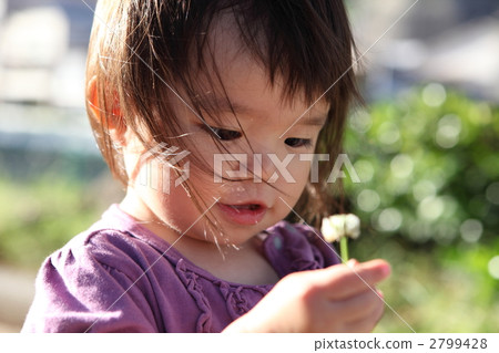 在公園裡 2799428