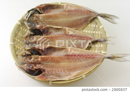 Open horse mackerel 2800837