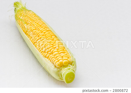 玉米 玉米 2800872