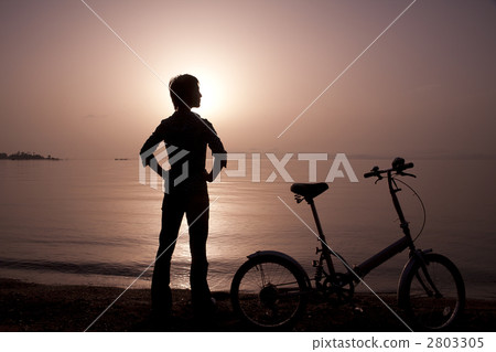 A lady lady 2803305