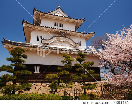 櫻花Marugame城堡 2803485
