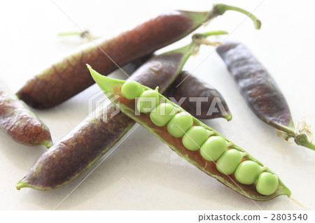 Vegetable beans Tutankhamun no peas 2803540