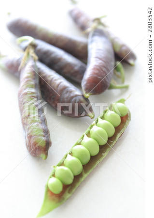 菜豆圖坦卡蒙沒有豌豆 2803542