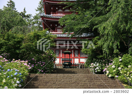 本堂寺 寺 寺院 2803602
