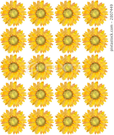 Background 4 Background 4 2807449