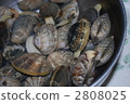 foodstuff, Marine Product, fish and shellfish 2808025