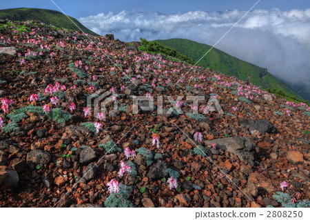 烏鴉和雲海雲 烏鴉和雲海雲 2808250