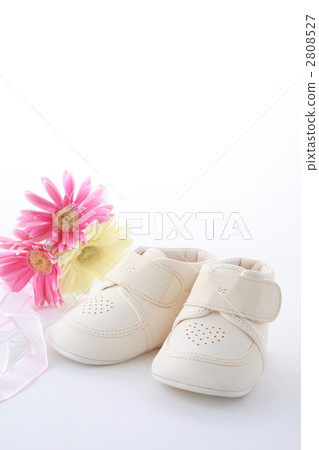 嬰兒鞋和非洲菊花束嬰兒禮品圖像 2808527
