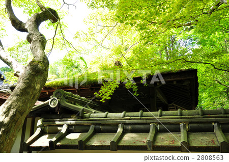 Daitokuji Takasagoin Daitokuji Takasagoin 2808563